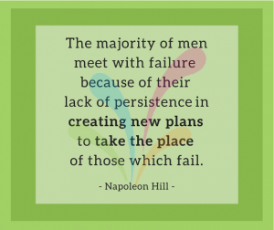 The majority of men meet with failure because of their lack of persistence in creating new plans to take the place of those which fail. - Napoleon Hill
