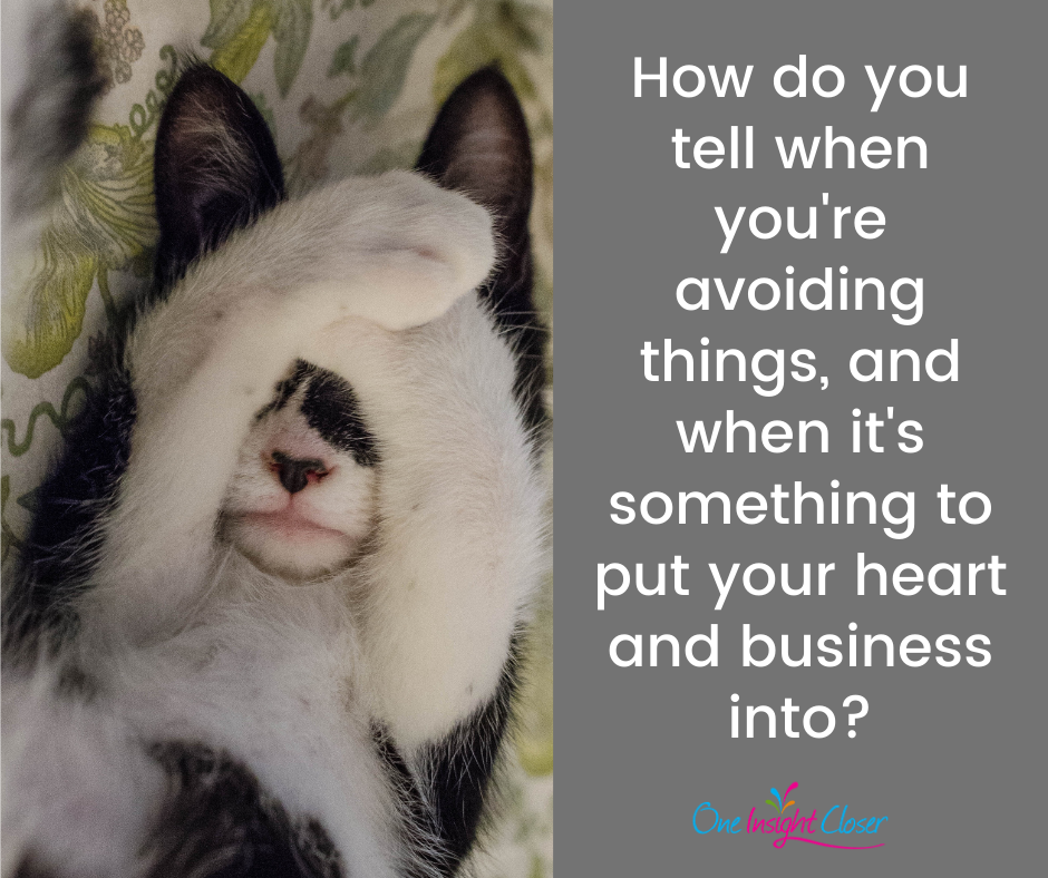 Text on picture of cute hiding cat: How do you tell when you're avoiding things and when it's something to put your heart and business into?